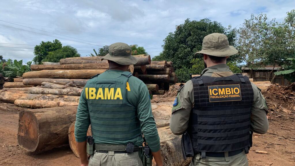 ICMBio e Ibama condicionam manejo madeireiro a dupla autorização em UCs