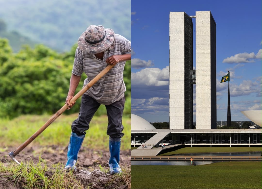 Câmara pode votar medidas provisórias e projetos do agronegócio na próxima semana 