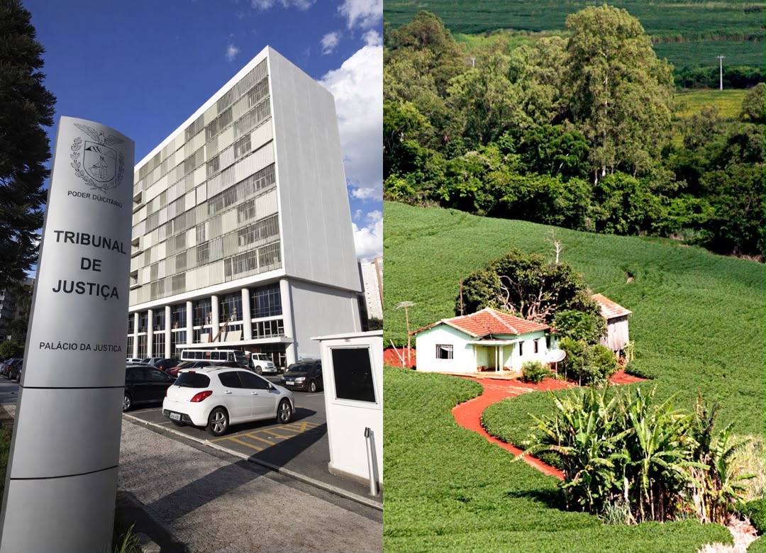 TJPR nega recurso de instituição financeira e mantém imóvel rural com produtor