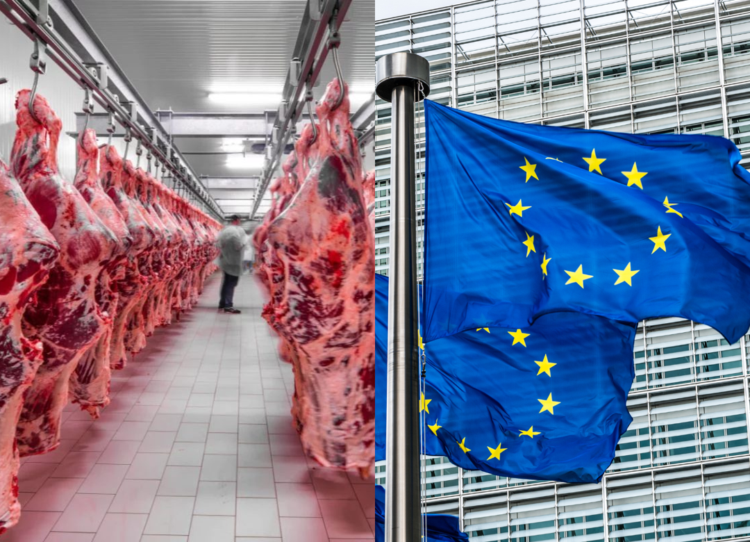 União Europeia suspende produtos animais brasileiros por exigência sobre antimicrobianos