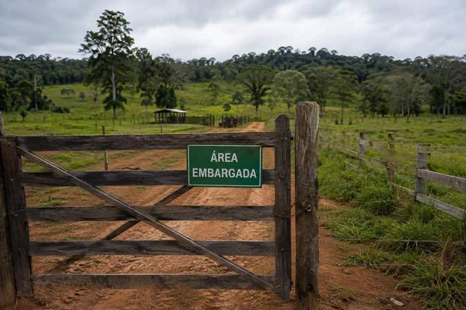O PL 6.531/2025 e o regime de regularização de áreas rurais embargadas