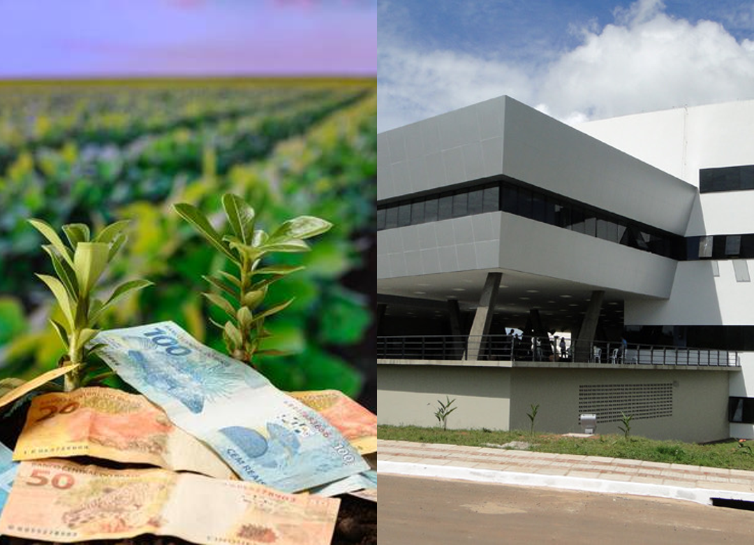 TJAC impede reativação automática de cobrança de crédito rural 