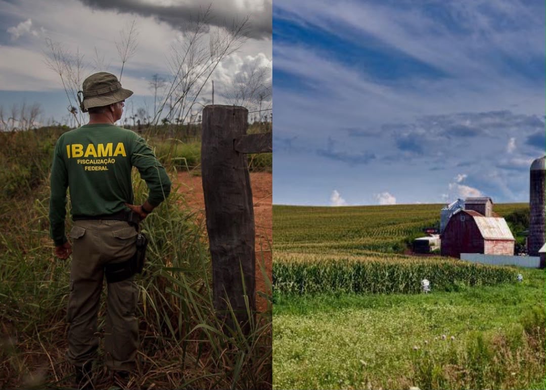 Justiça Federal anula embargos do IBAMA em área de subsistência familiar 