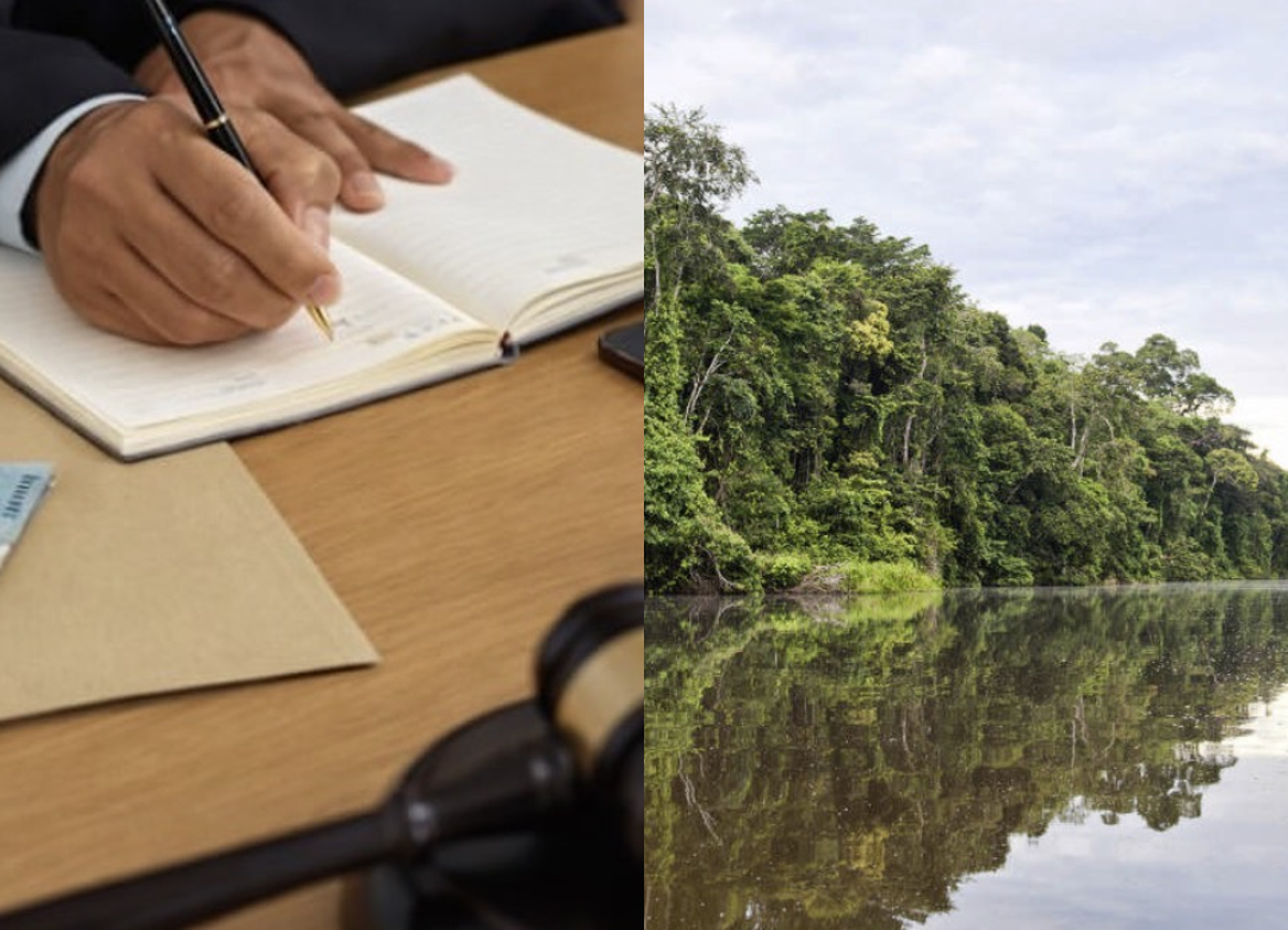 Justiça do Pará anula recebimento de denúncia e extingue punibilidade em crime ambiental