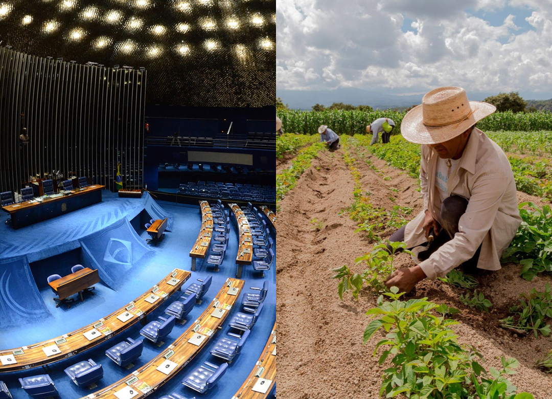 Comissão altera requisitos de enquadramento de povos tradicionais na agricultura familiar