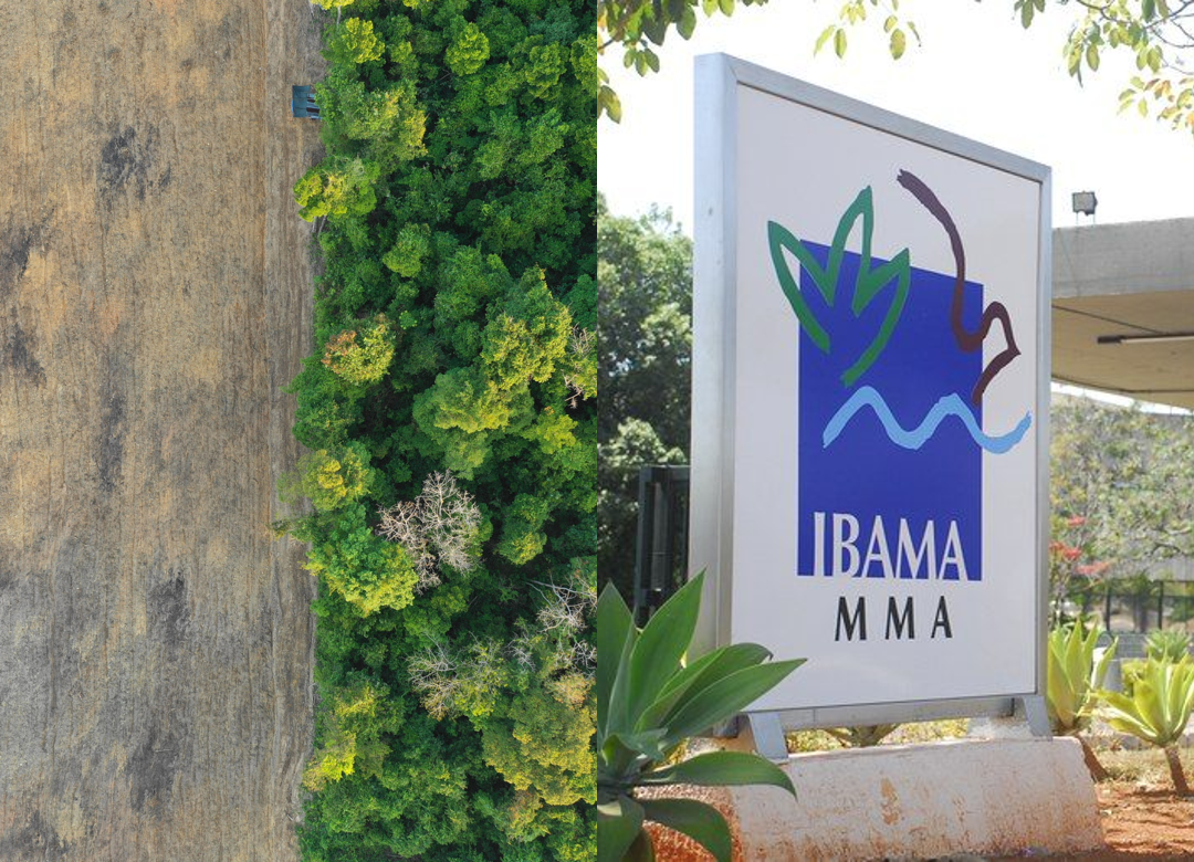 Ibama lança painel sobre a destinação de recursos da compensação ambiental