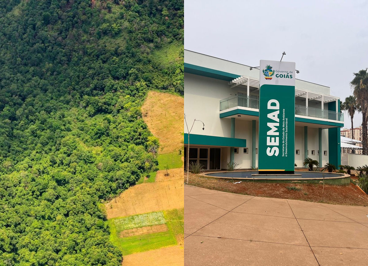 SEMAD-GO concede Licença Ambiental Única com supressão de 9,66 hectares de vegetação