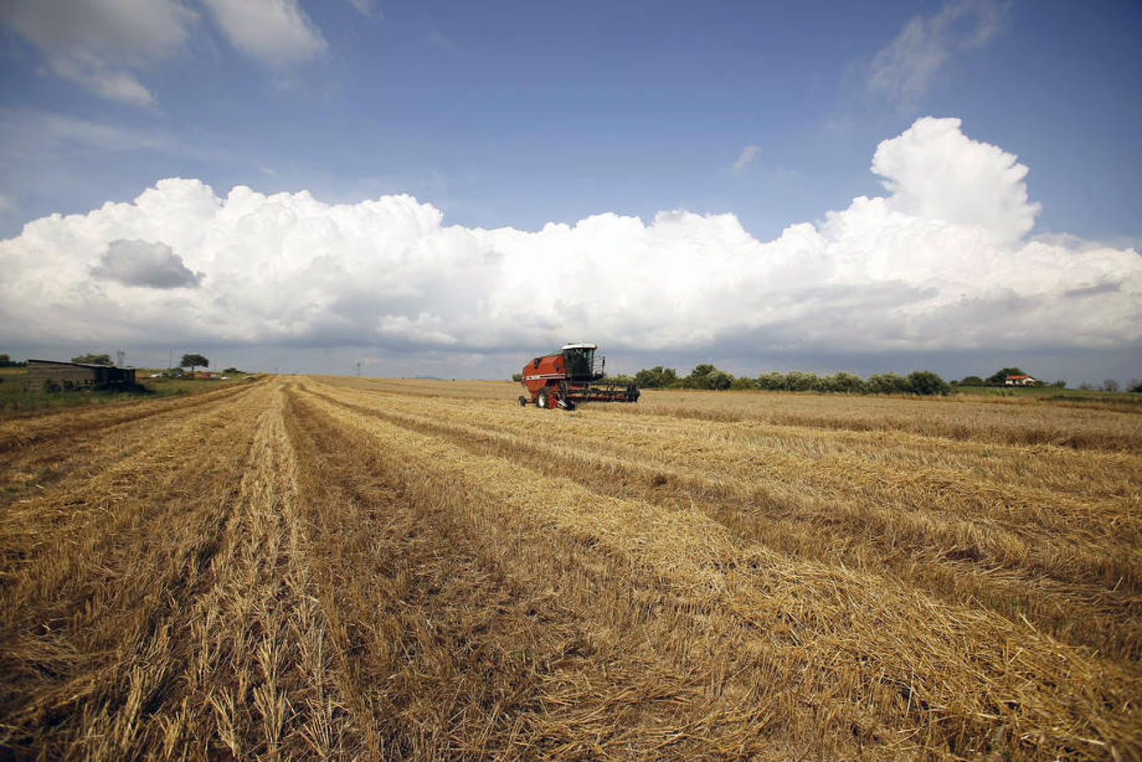 A produção de obras de Direito Agrário pela FAO e sua contribuição para o desenvolvimento das nações