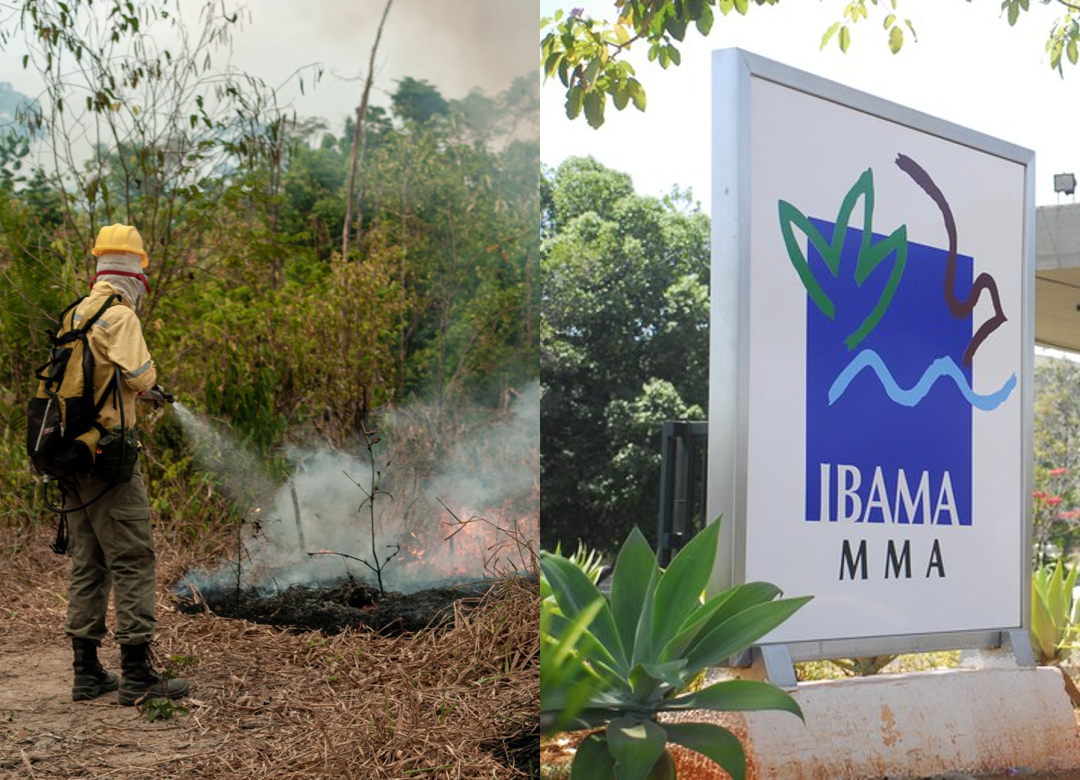 IN do Ibama veda uso de fogo e dispensa autorização prévia para controle de invasoras