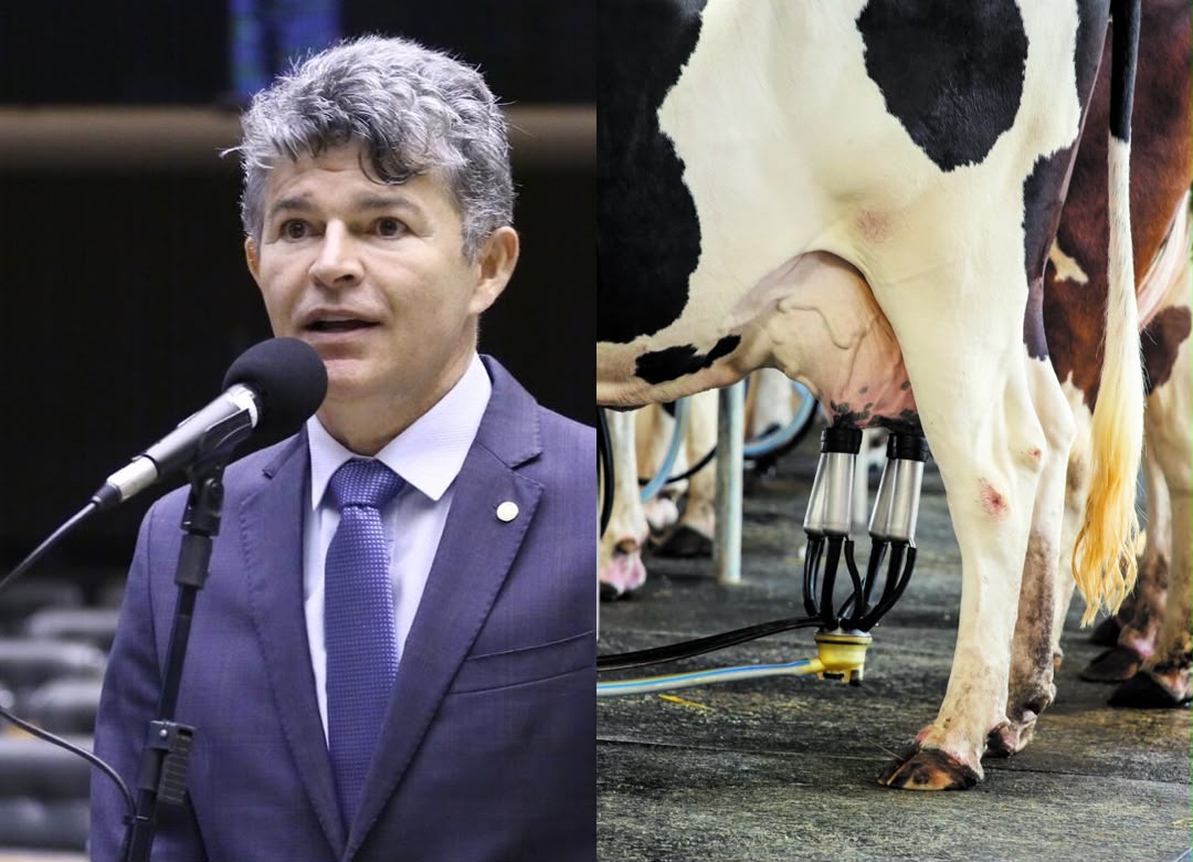 Projeto de lei cria programa de valorização da pecuária leiteira