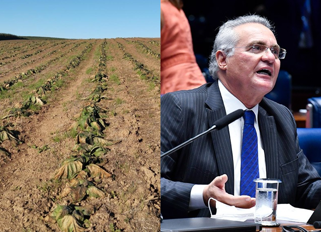 Entidades do agro cobram urgência na implementação da MP 1.376/2026