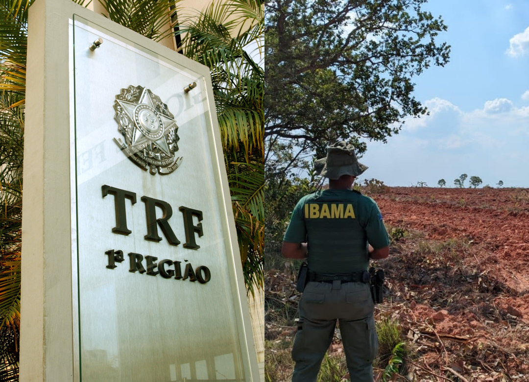 TRF1 reconhece prescrição e anula multa e embargo ambiental do IBAMA