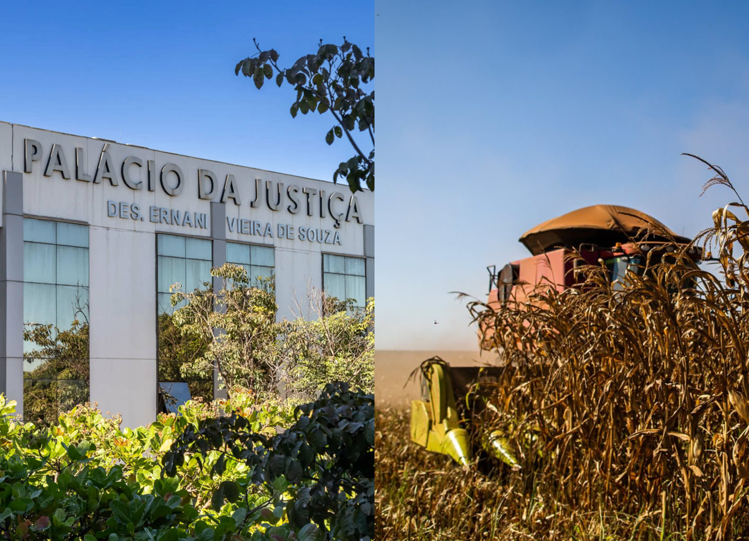 TJMT afasta falência e retoma recuperação judicial do Grupo Atanes com dívida de R$ 238 milhões 
