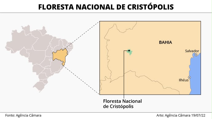 Área nunca implantada: lei anula Floresta Nacional criada por decreto em 2001 na Bahia