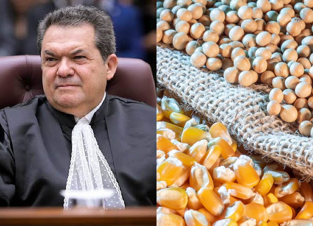 STJ mantém dados do Coaf em investigação sobre desvios de grãos