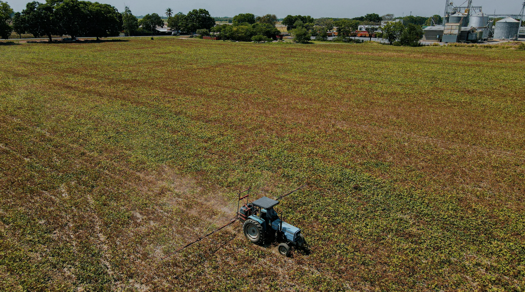 Como fazer o pedido administrativo de prorrogação do crédito rural?