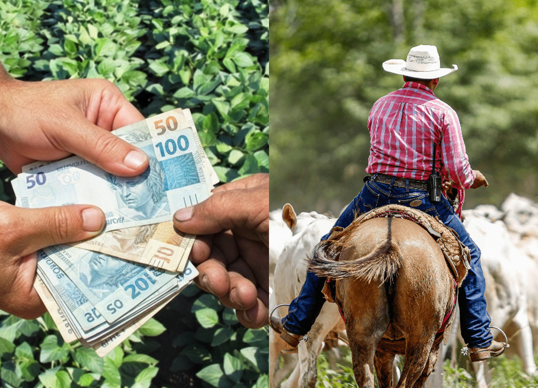 Justiça suspende exigibilidade de R$ 2,8 milhões em dívidas de crédito rural de produtor 