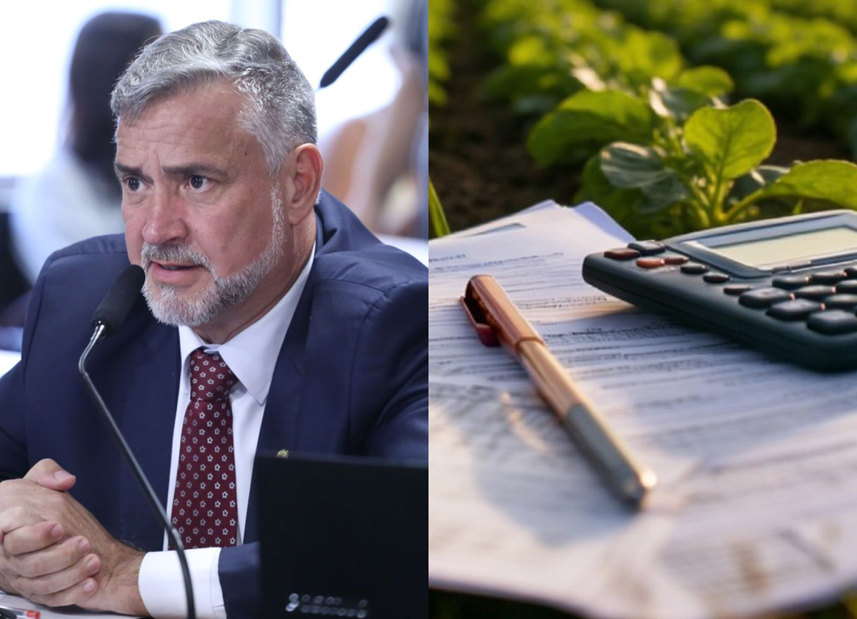 Parecer da dívida rural preserva juros e inclui mudança para lojas francas