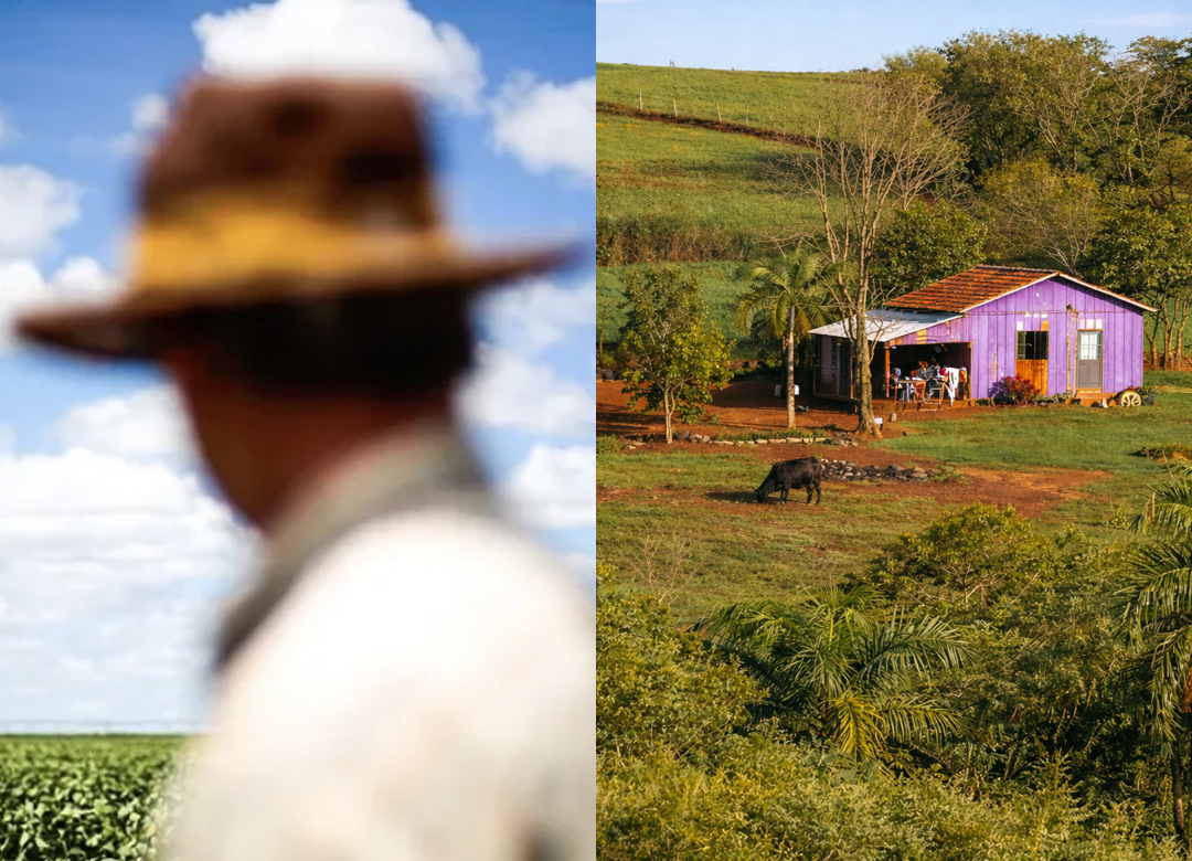 Justiça impede segunda tentativa de usucapião de área rural