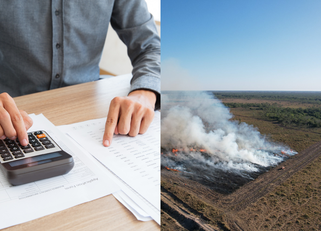 Justiça suspende cobrança de dívida rural após incêndio destruir 728 hectares no Maranhão