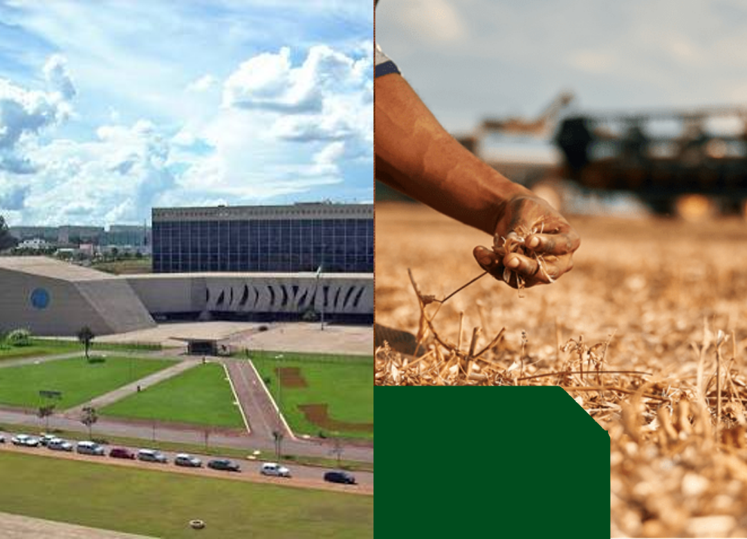 STJ mantém condenação solidária de fabricante de fertilizantes por perdas na safra
