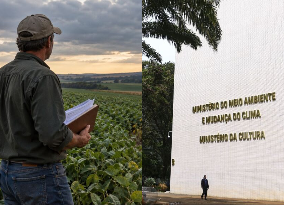 MMA regulamenta modalidades de pagamento por serviços ambientais
