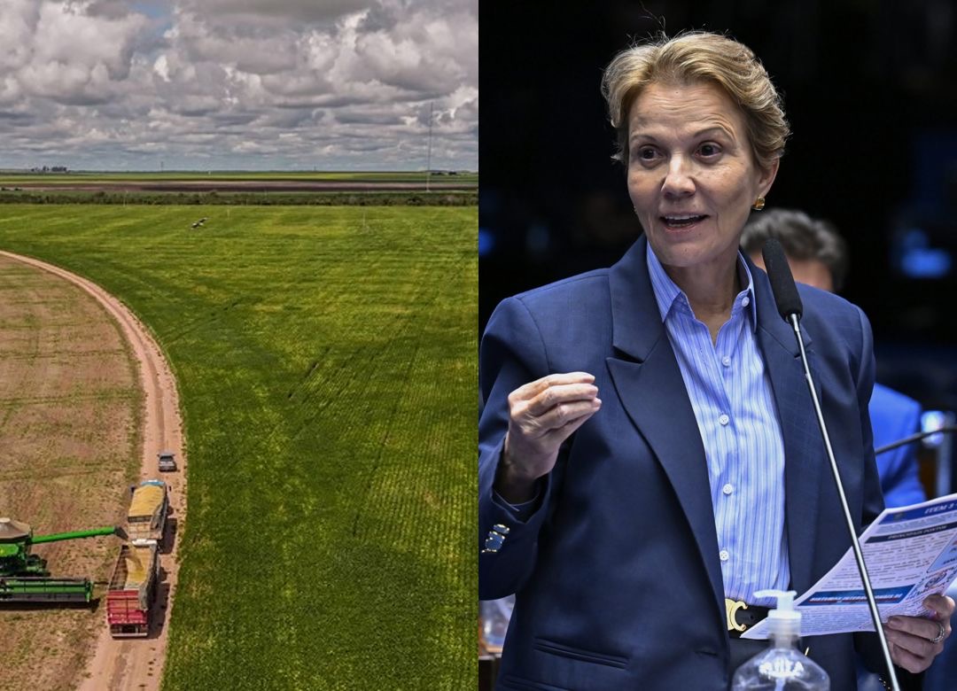 PL do Seguro Rural é aprovado no Congresso e vai à sanção presidencial