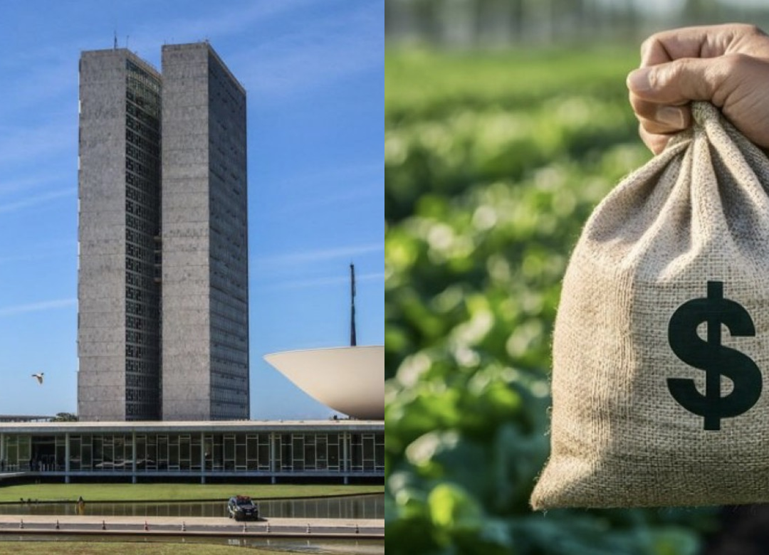 Congresso prorroga até novembro MP de renegociação de dívidas rurais