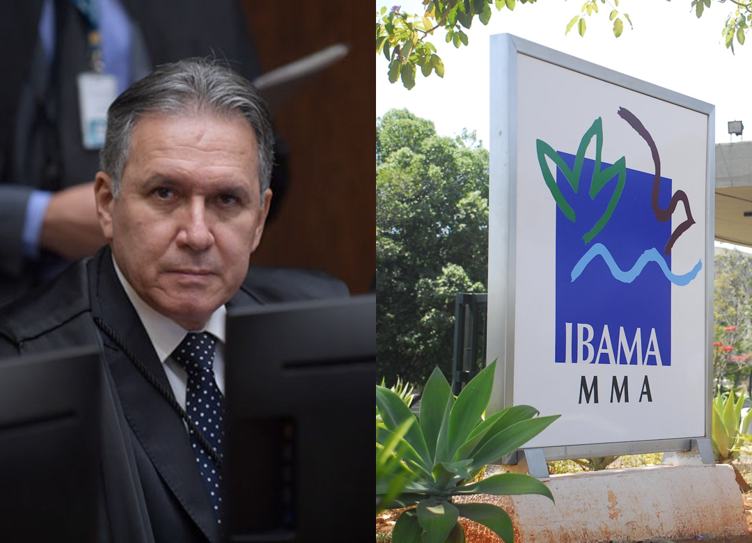 STJ classifica bloqueio do Ibama sem autuação como invasão da propriedade