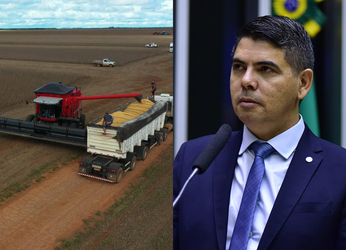 Câmara analisa projeto que regulamenta perdimento de veículos e cargas em infrações à defesa agropecuária