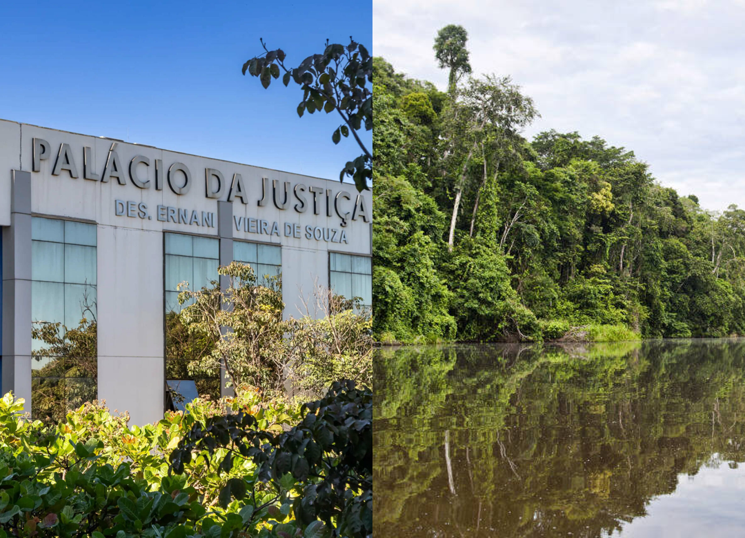 TJMT mantém usucapião de fazenda situada em área de proteção ambiental
