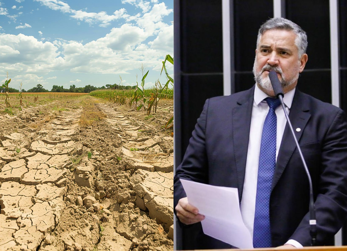 FPA critica relatório da MP 1.376/2026 sobre renegociação de dívidas rurais