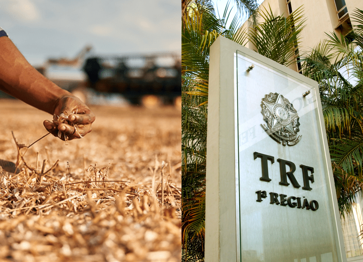 TRF1 determina alongamento decenal de dívida rural de produtor