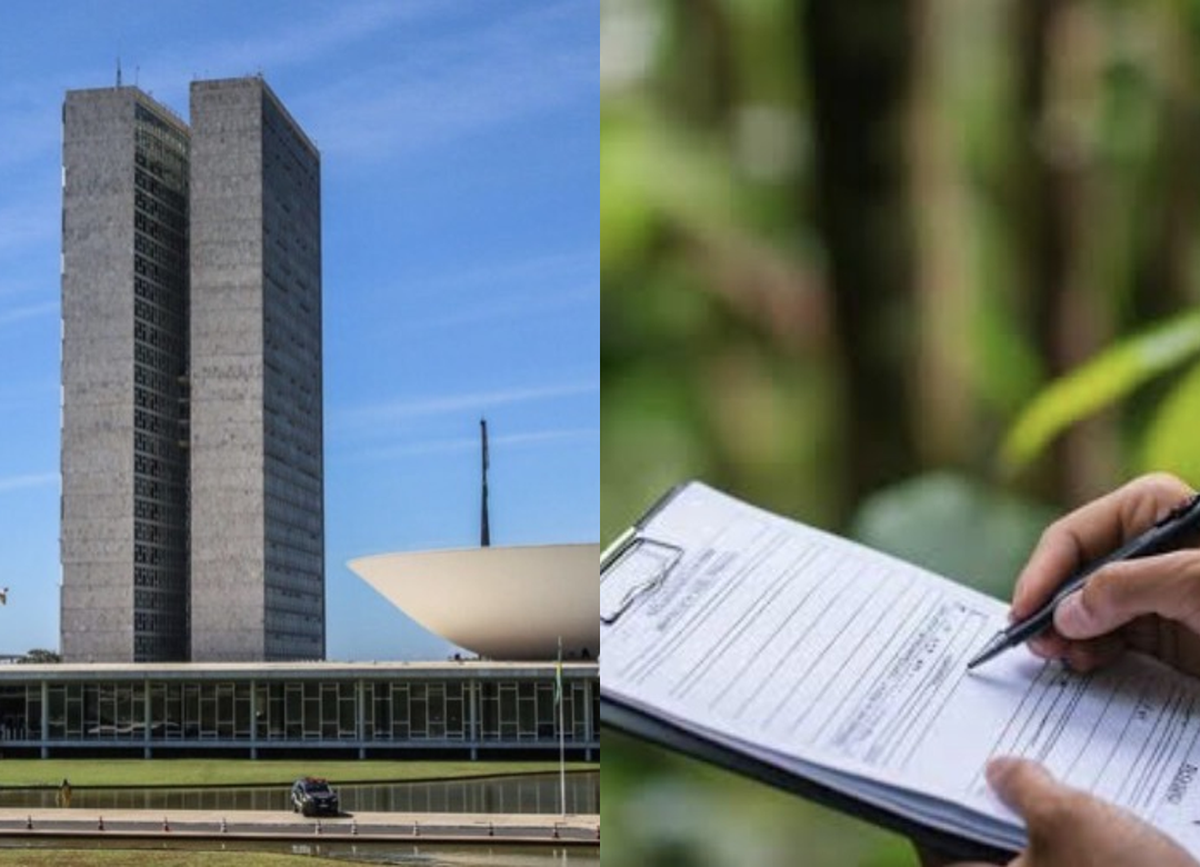 Câmara analisa advertência prévia à multa ambiental por subsistência