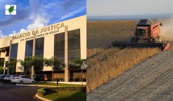 TJMT reconhece crise climática e mantém recuperação judicial de grupo agropecuário em Mato Grosso