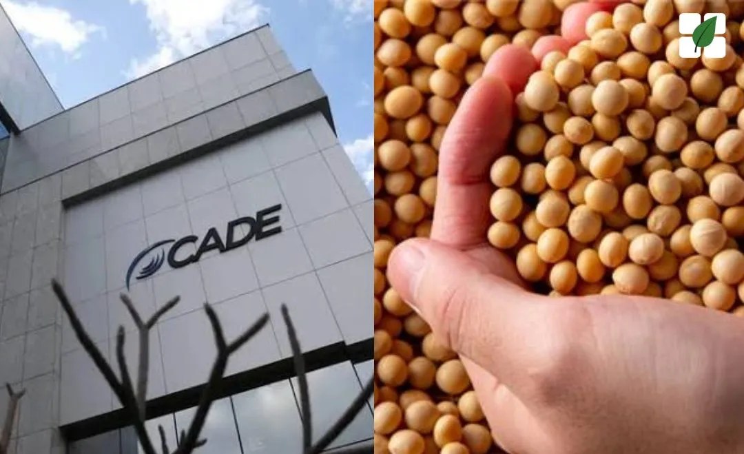 Decisão adia exigência para o setor até o fim de 2025, enquanto empresas deverão ajustar práticas e restringir compartilhamento de dados sensíveis