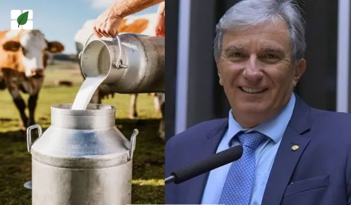 Projeto que concede isenção de ITR para pequenos produtores de leite avança na Câmara