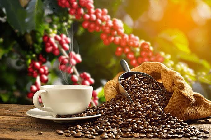 O que a alta do café revela sobre os riscos contratuais?