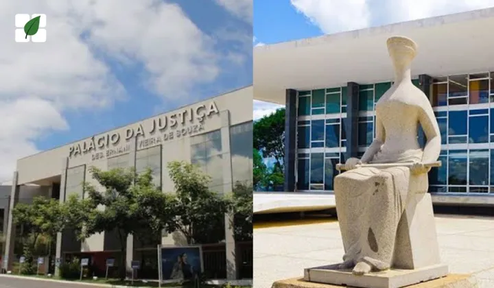 TJMT barra recurso do PT que tentava levar ao STF repasses do Fethab ao agronegócio