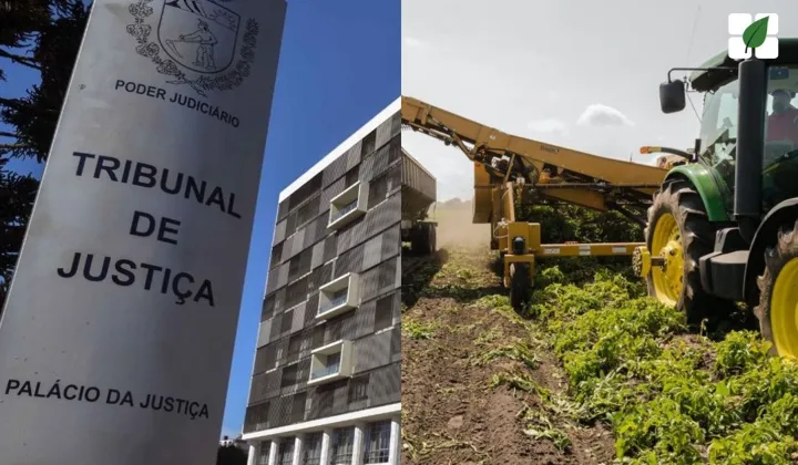 TJPR suspende busca e apreensão de trator essencial para safra de produtor rural