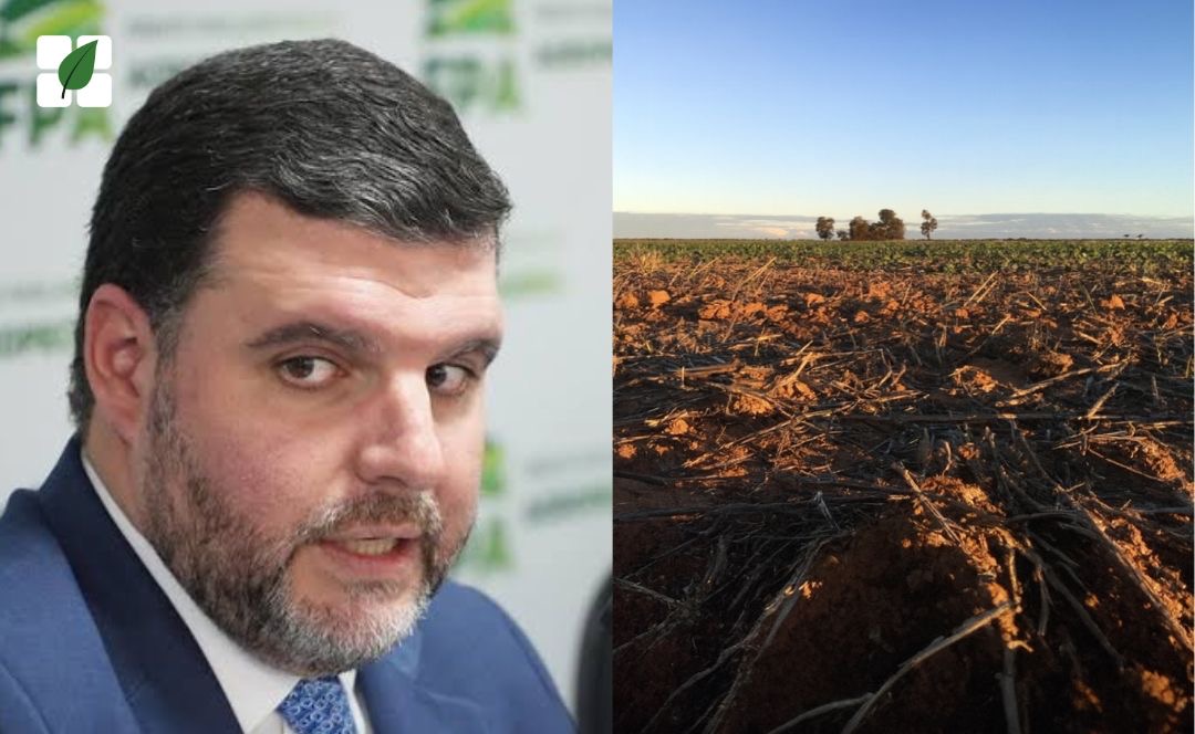 Para FPA, MP 1.303/2025 sufoca crédito agrícola e eleva custo do capital