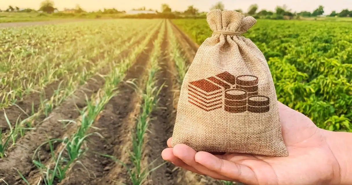 Como a Reforma Tributária impacta o setor de combustíveis: análise da Lei Complementar nº 214/2025